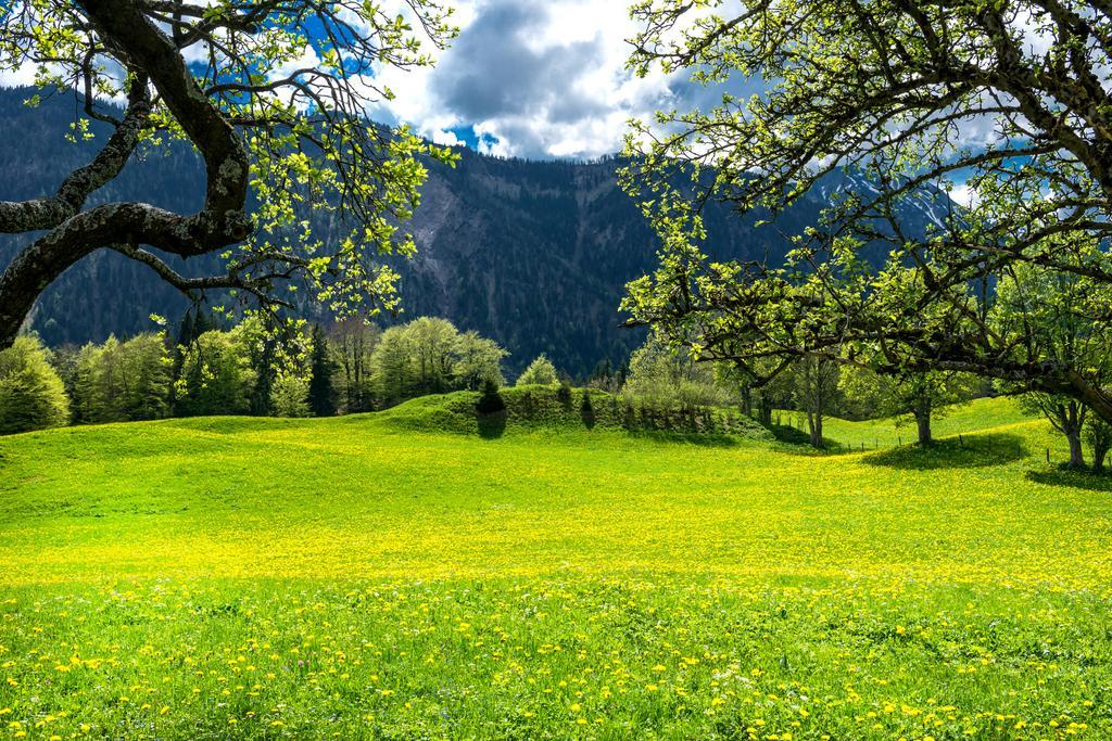 "Schoen-Urlauben" グレーブミング エクステリア 写真
